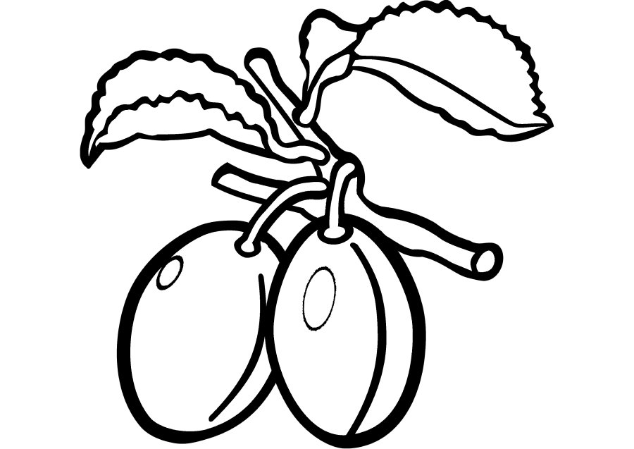 Coloring page fruits on a twig Print